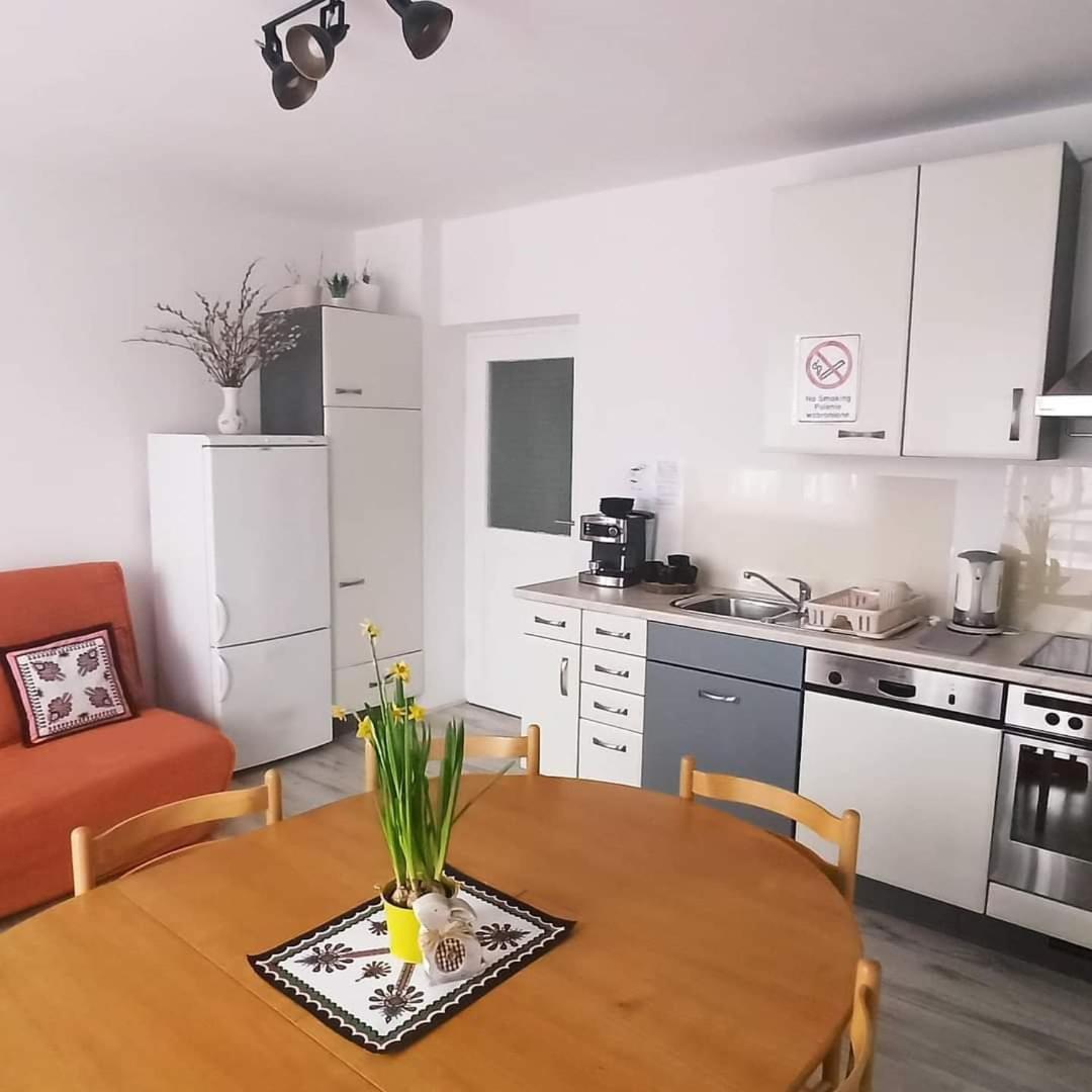 Kwatera U Somsiada -Apartament Muszyna Εξωτερικό φωτογραφία